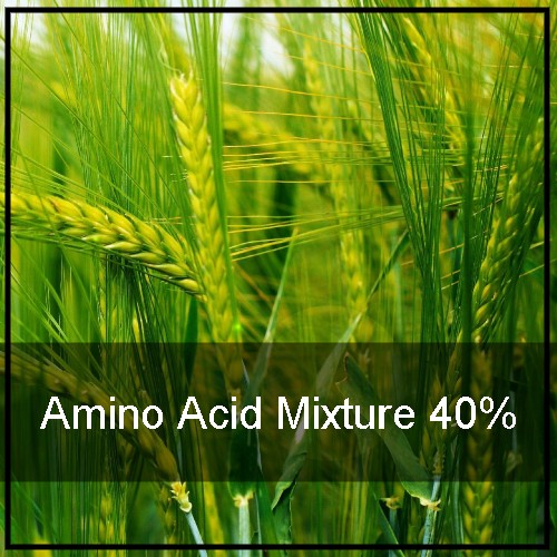 CALCIUM BORON AMINO ACID CHELATE 6:1 : Growth Promotor