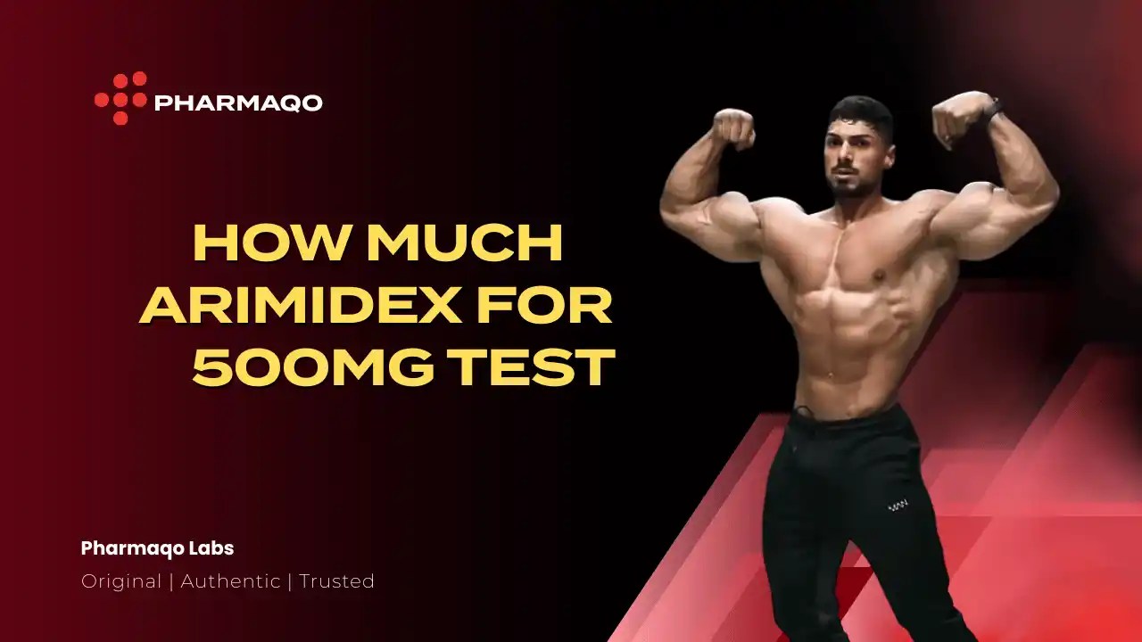 How to Use Arimidex Safely During a 500mg Testosterone Cycle