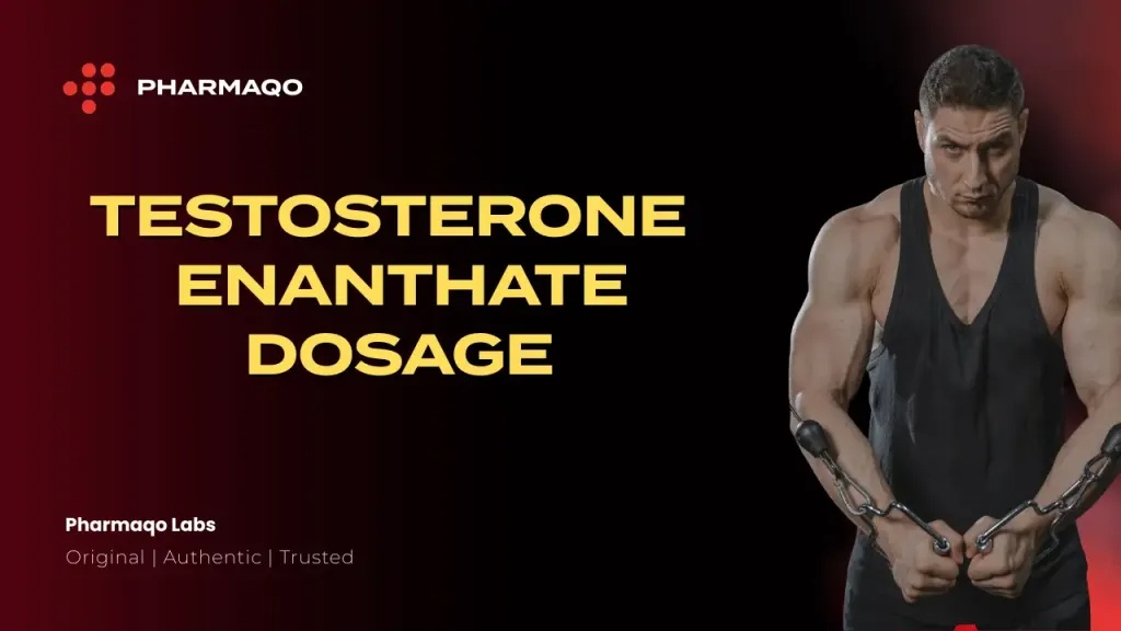 Testosterone Enanthate Dosage for Muscle Growth: Full Guide