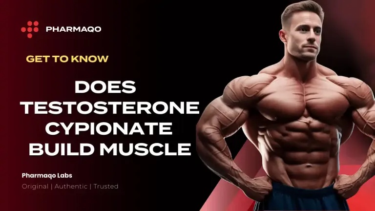 Does Testosterone Cypionate Build Muscle? A Clear and Practical Look