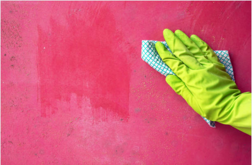 How To Wash Your Apartment Walls | SelectRE Boston