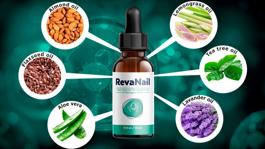 RevaNail Fungus – Revive Your Nails with Powerful Antifungal Care!