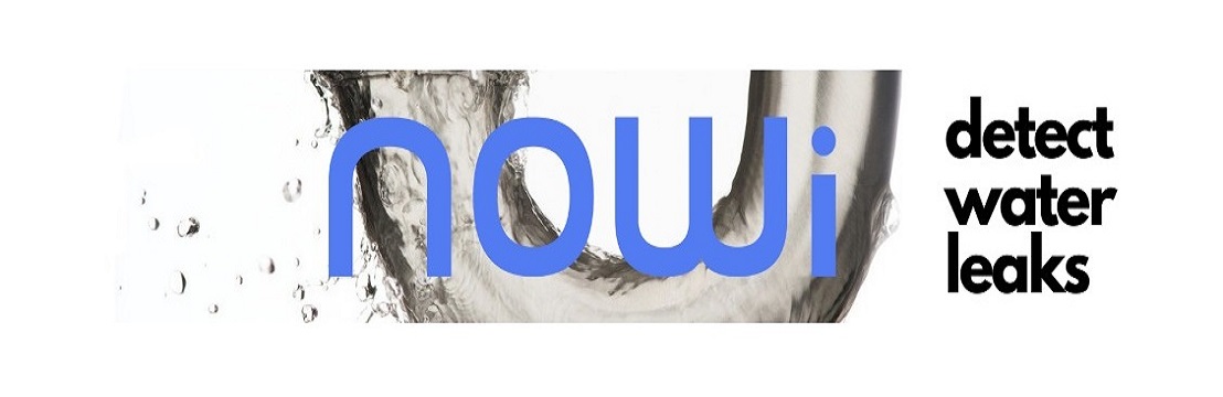 Intelligent Solutions to Maximize Energy and Water Use in Architectural Constructions