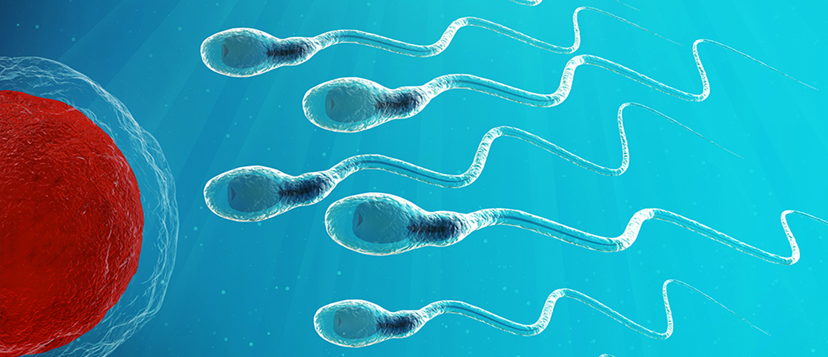 Advanced TESA and PESA Fertility Treatment: Solutions for Male Infertility
