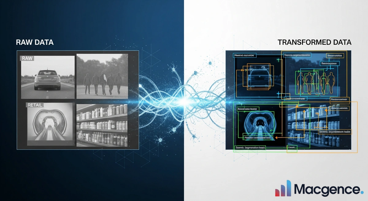 Image Annotation Services: Fuel Your AI with Precision-Labelled Visual Data