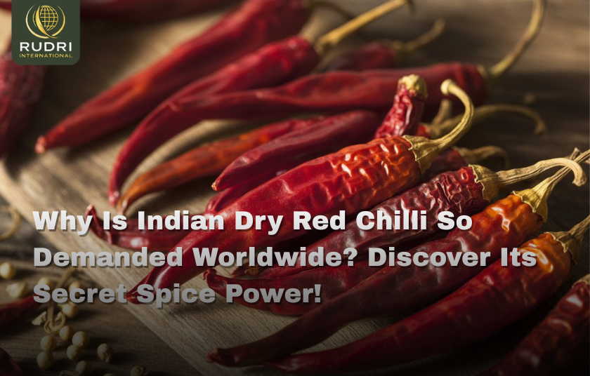 Why Is Indian Dry Red Chilli So Demanded Worldwide? Discover Its Secret Spice Power!