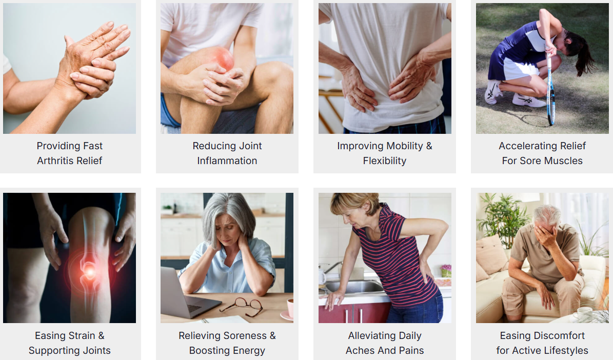 BioDynamix Joint Genesis™: Facts on Hyaluronic Acid and Cartilage Support