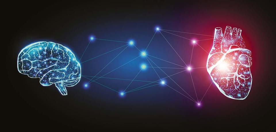 NeuroSync™ Review 2026: Facts, Function, and Cognitive Wellness Insights