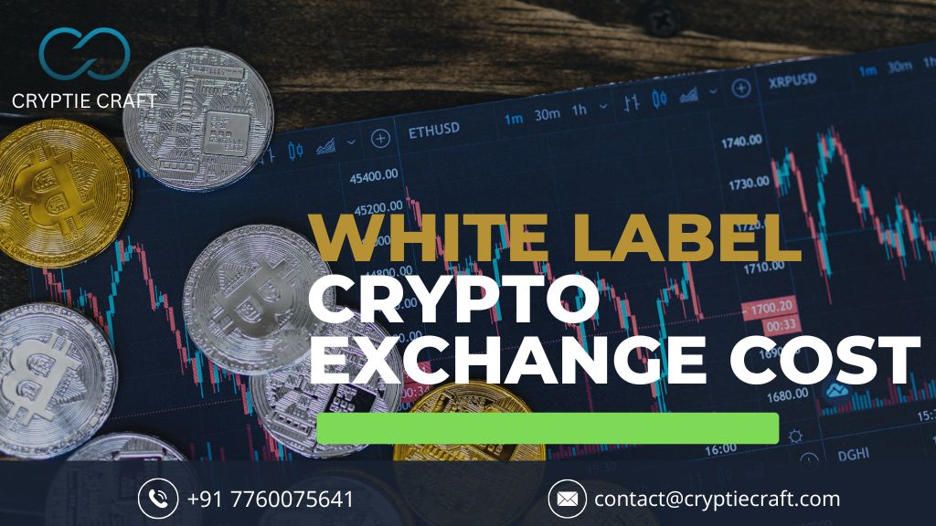 White Label Crypto Exchange Cost 