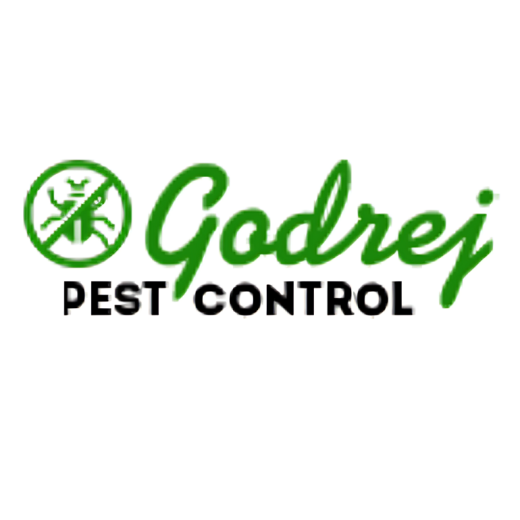 Cockroach Pest Control Service in Delhi by Godrej Pest