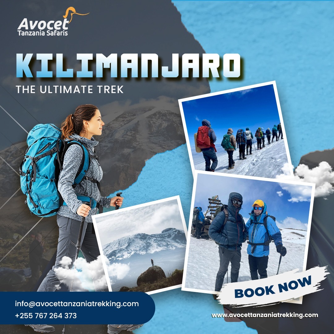 Conquer Africa’s Highest Peak: 6-Day Kilimanjaro Trekking via the Machame Route