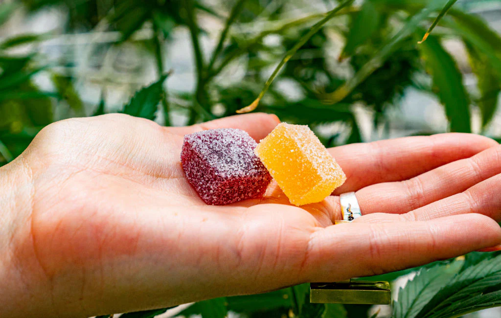 Element Organics Hemp Gummies New Zealand Reviews Side Effects, Best Results, Works & Buy!