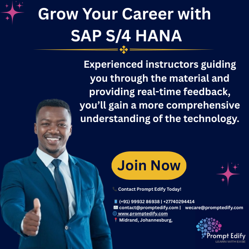 Boost Efficiency in Zambia Using SAP S/4 HANA