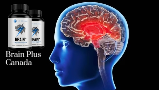 Brain Plus Canada Reviews Miraculous Or Fake All Info Here!!