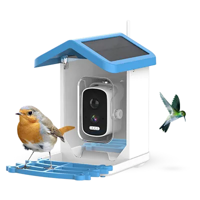 ChirpyCharmm Review: Scam or Should You Buy?