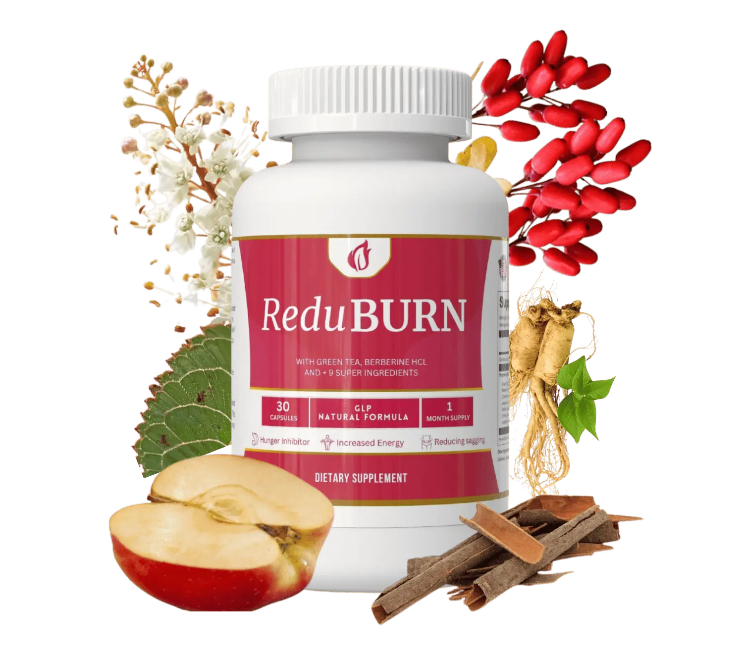 ReduBurn Review: Legit or Scam?