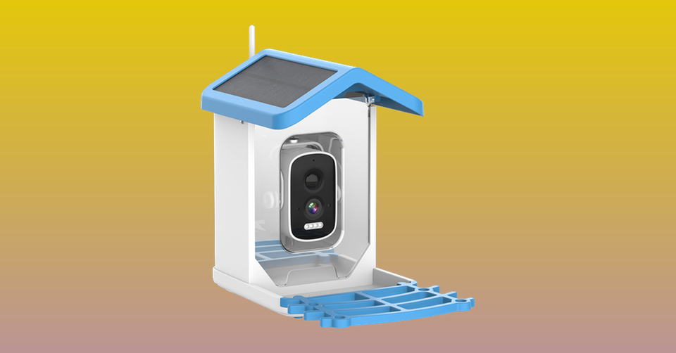 ChirpyCharmm Reviews: Is It A Scam?