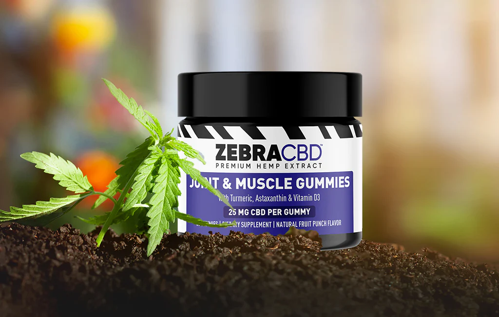 Zebra CBD Gummies Reviews: Is This Supplement Worth the Hype?