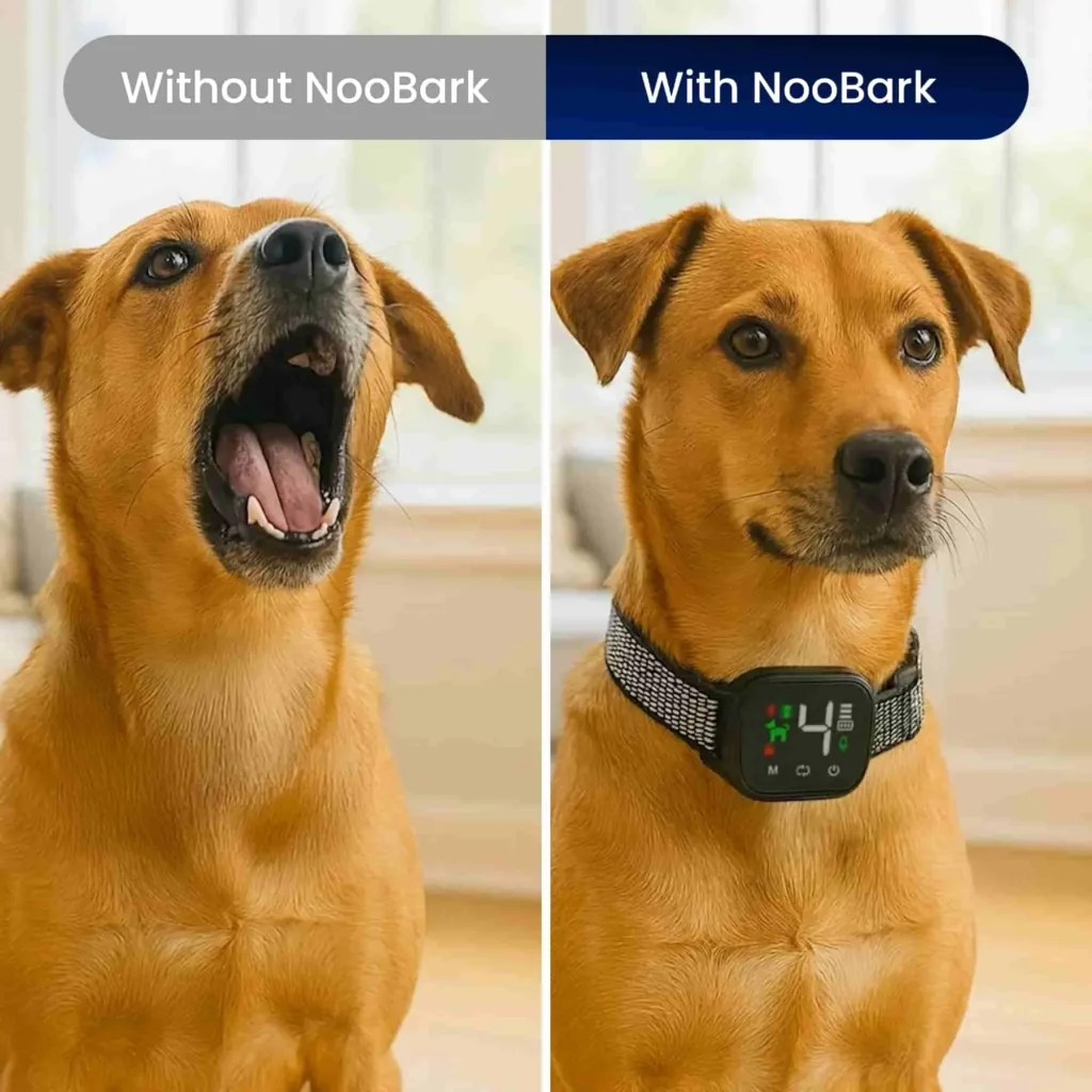 NooBark Anti-Bark Collar : Are They Worth Using?