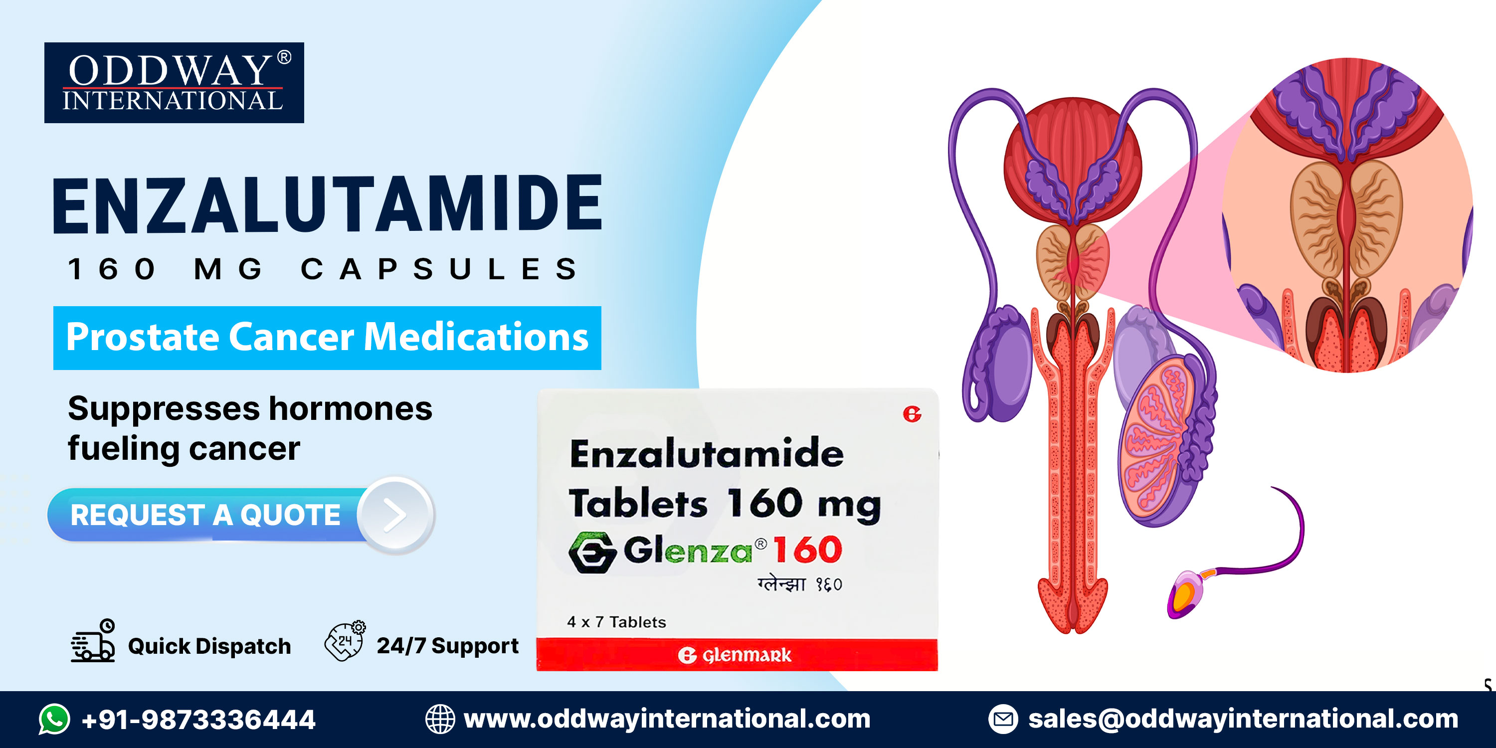 How Enzalutamide Tablets 160 mg Work in Treating Prostate Cancer