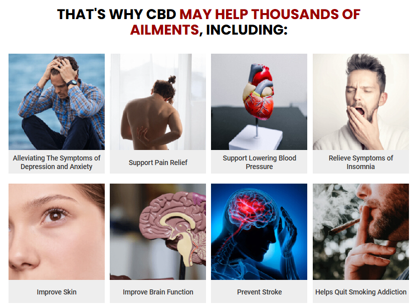 Terra Pro CBD Gummies Reviews – Natural Solution for Stress, Pain & Sleep