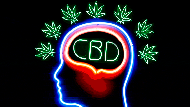 Is Catalina Farms CBD Gummies Safe? Benefits, Dosage & Reviews