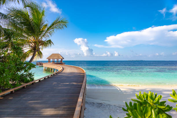 Latin America Travel & Tourism Market Share, Trends, Growth and Analysis Report 2025 