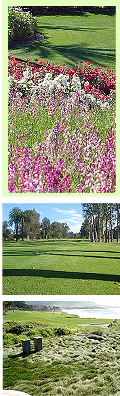 Choose Stover Seed Company, Golf Course Grass Supplier