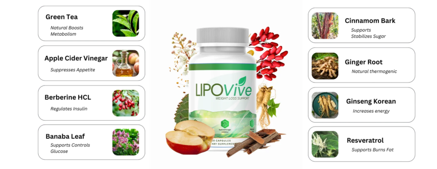 Lipovive Reviews 2025: Does This Weight Loss Supplement Really Work?