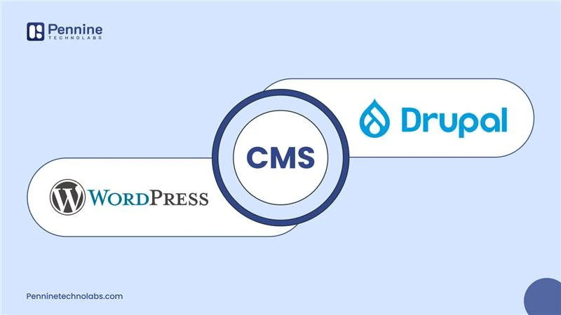 WordPress vs Drupal. Which CMS Is Right for You