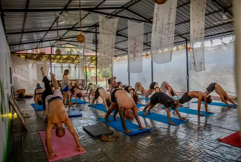 Transform Your Life with Yoga Teacher Training in Bali at DivinePath