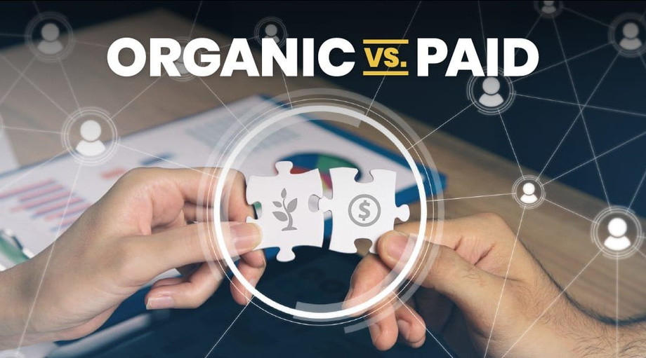 Paid vs Organic Social Media Marketing