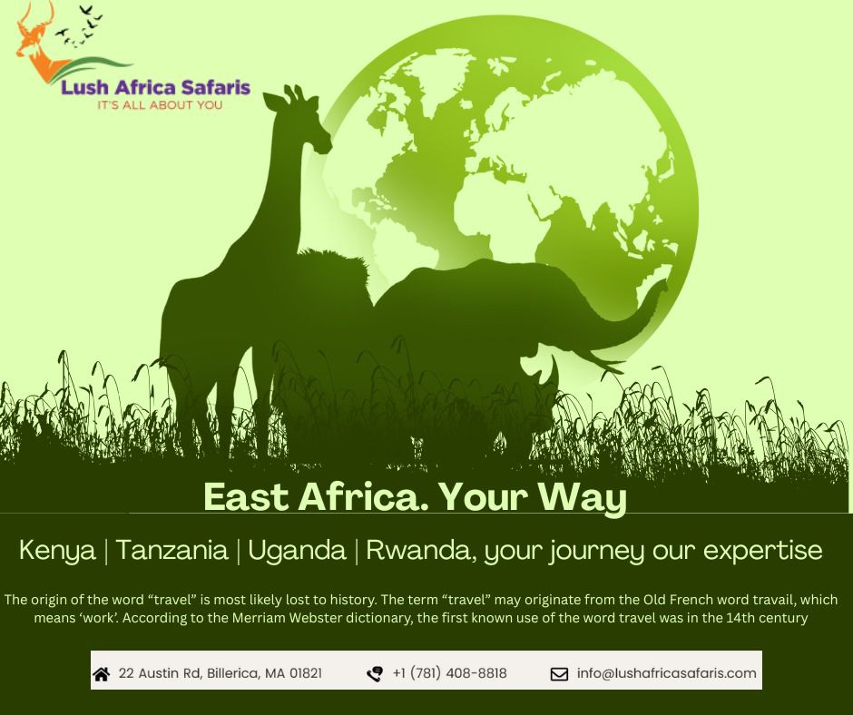 Masai Mara and Serengeti Safari Tours |Gorilla Trekking in Uganda 