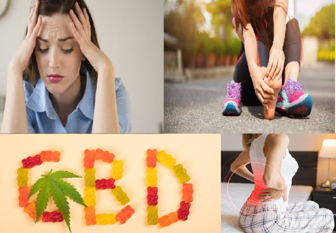 Bio Relief CBD Gummies Reviews - "Official Website" Help You Feel Better!