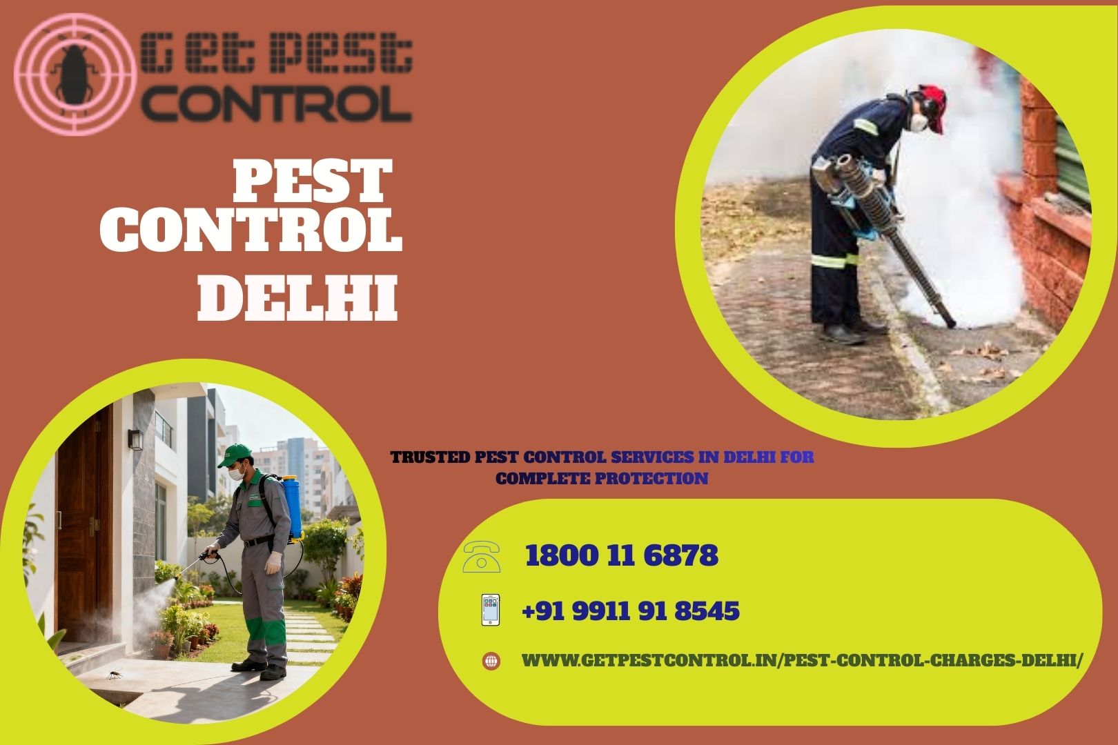 Trusted Pest Control Services in Delhi for Complete Protection