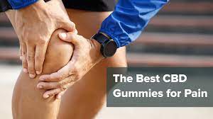 Life Support Labs CBD Gummies Natural Relief for Stress & Pain