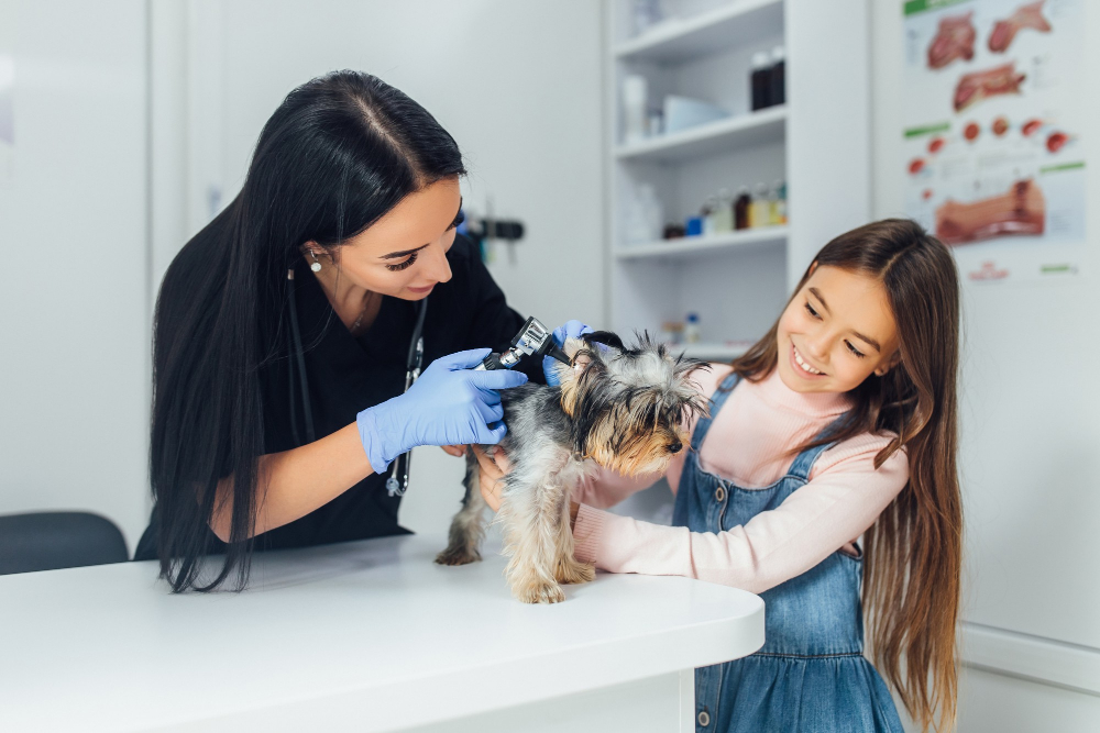 Expert Tips for Choosing the Best Mobile Pet Grooming in Dubai (2026)