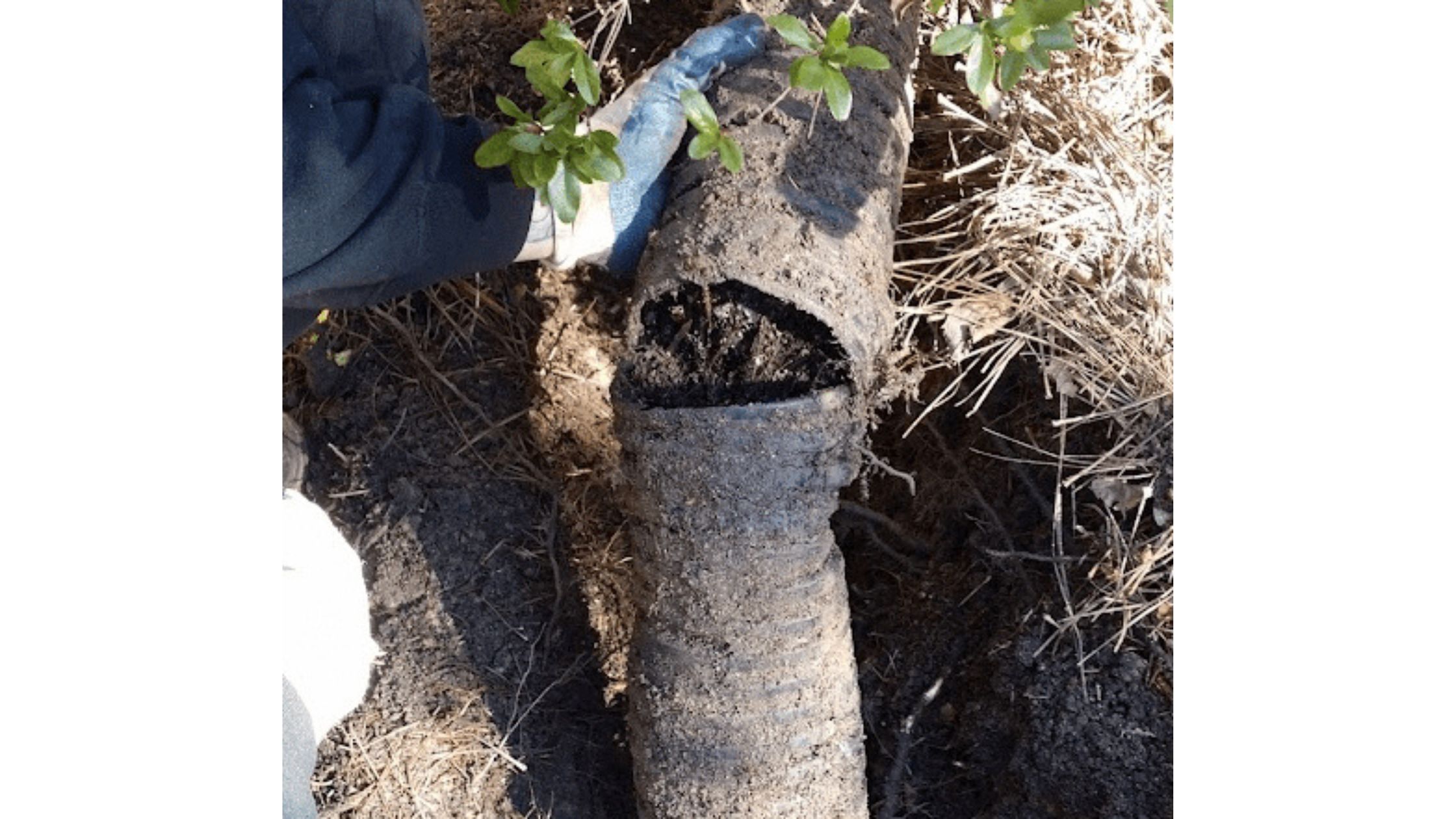 Why Gutter Downspout Extensions Are Essential for Home Protection