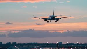 [{Delta Airlines pet fee & Policy}] What to Know Before Flying with Your Pet