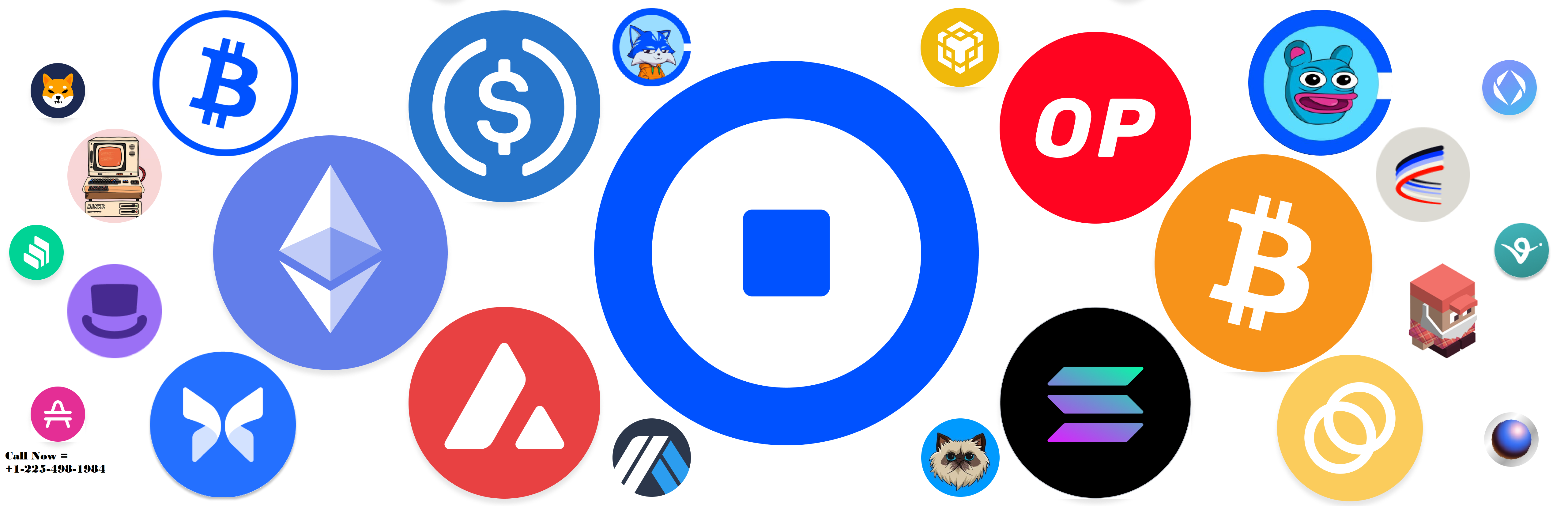 C⛧omplete List of Official Trust Wallet™️TOLL FREE™️ Contact Numbers in the usa : Detailed StepbyStep Guide