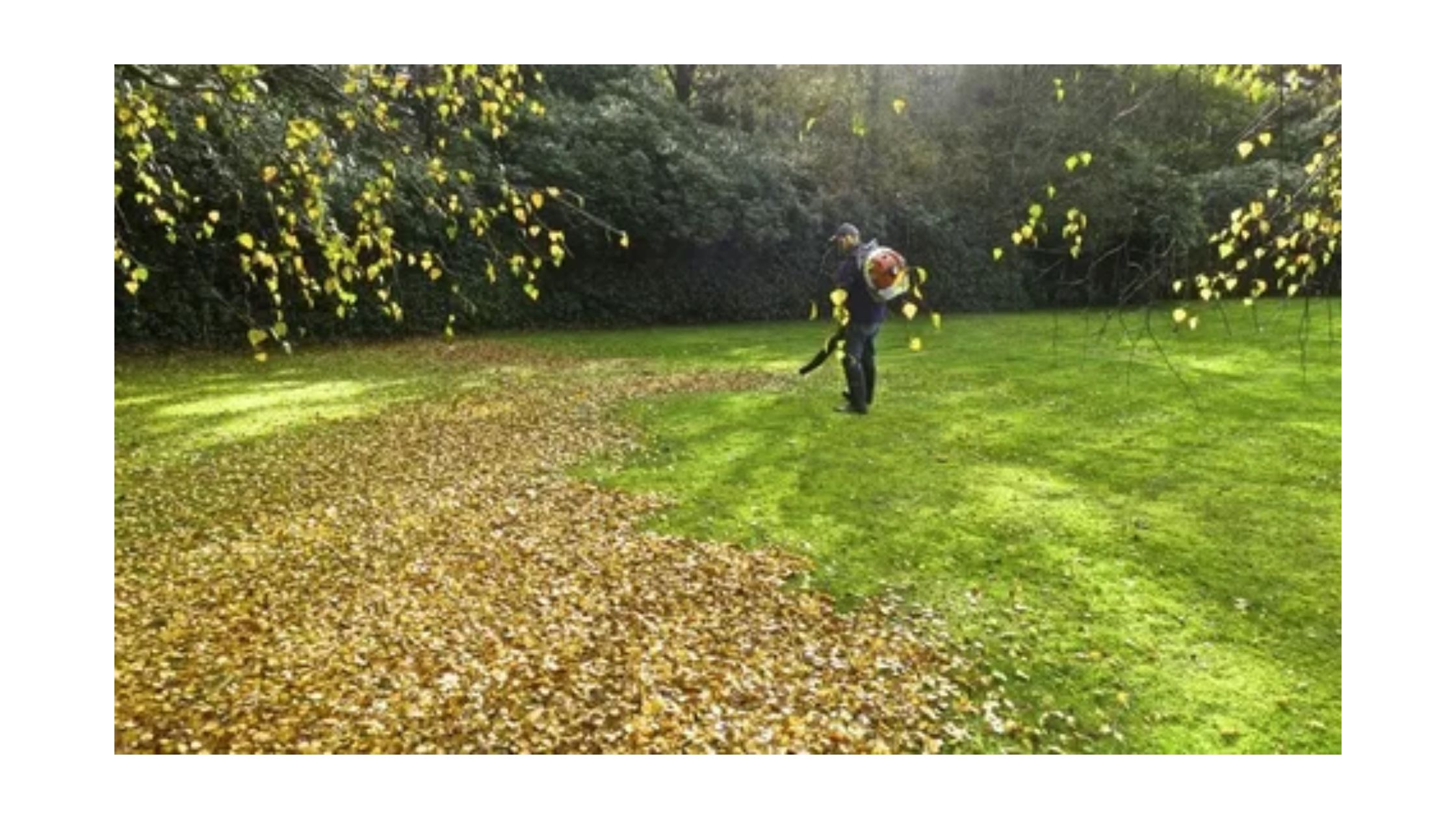 Create a Jaw-Dropping Yard with Simple Fall Cleanups in Colorado