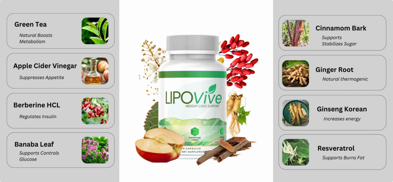 LipoVive Australia: Does It Work? Ingredients, Side Effects & Full Review