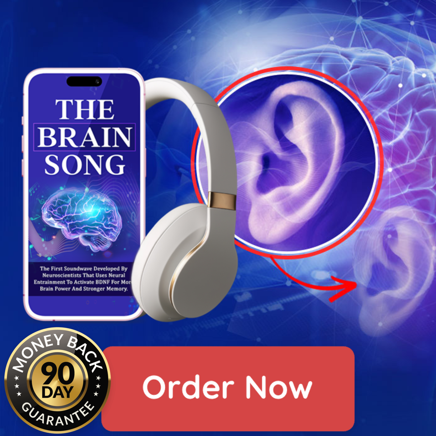 The Brain Song – The Audio Blueprint for Focus, Calm, and Peak Brain Performance