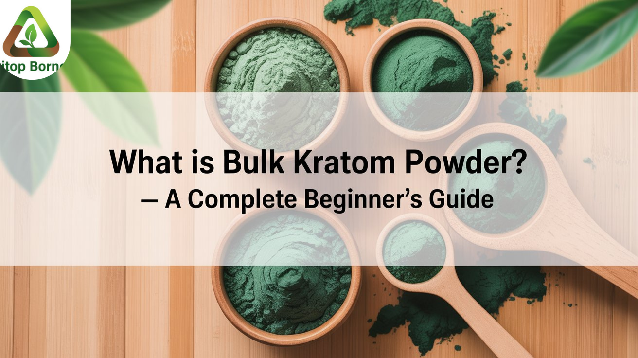 What Is Bulk Kratom Powder? — A Complete Beginner’s Guide