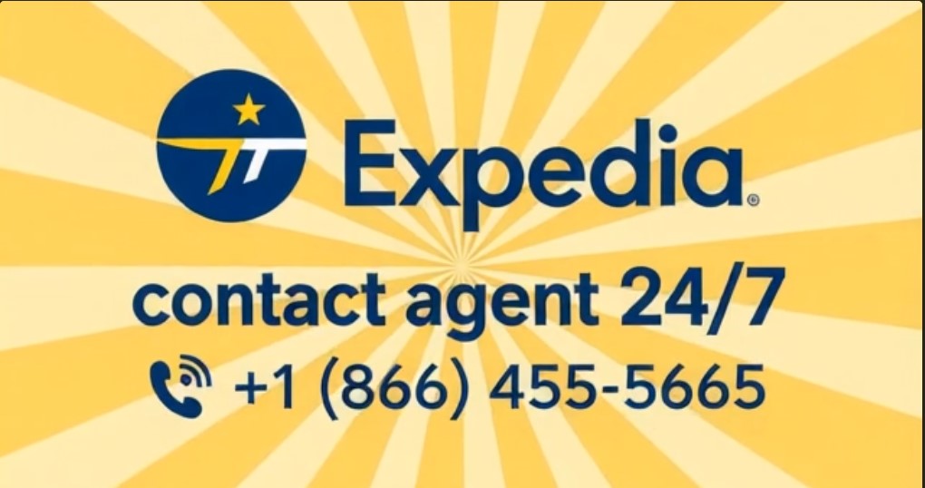 How Do I Get a Human at Expedia Immediately?
