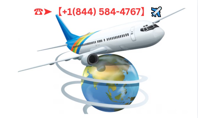 How Do I Reach Expedia for a One-Way Car Rental?@~@~