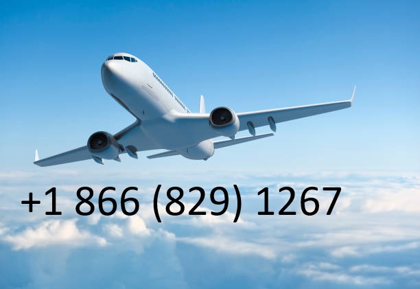 Emirates Discount ~ Does Emirates give a student discount?