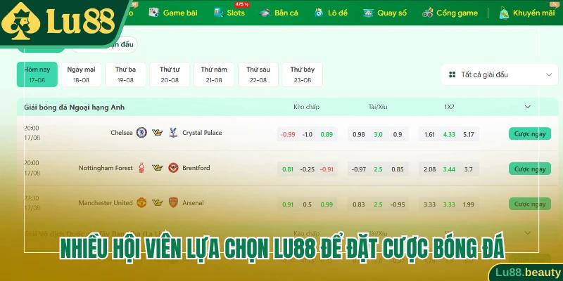 Thương hiệu cá cược uy tín, chuyên nghiệp hàng đầu Châu Á