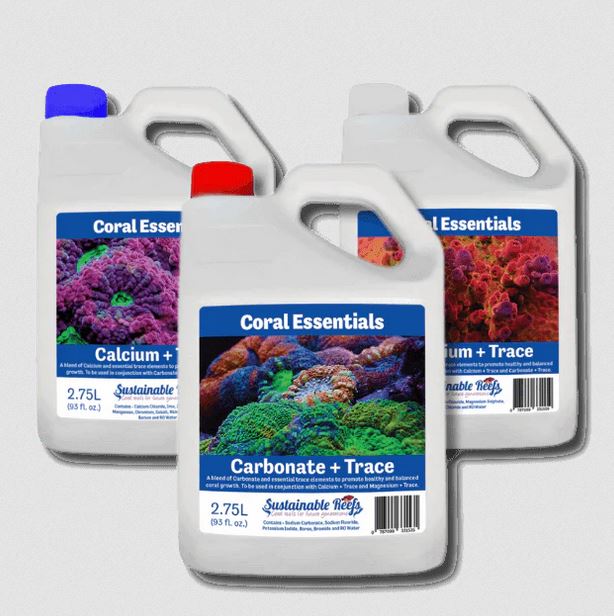 The Importance of Choosing the Best Coral Additives for Dosing When You Start a Reef Tank