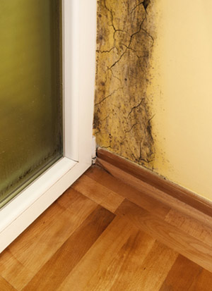 Certified Asbestos Abatement Company in Canada